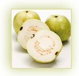 Guava