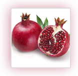 Pomegrante